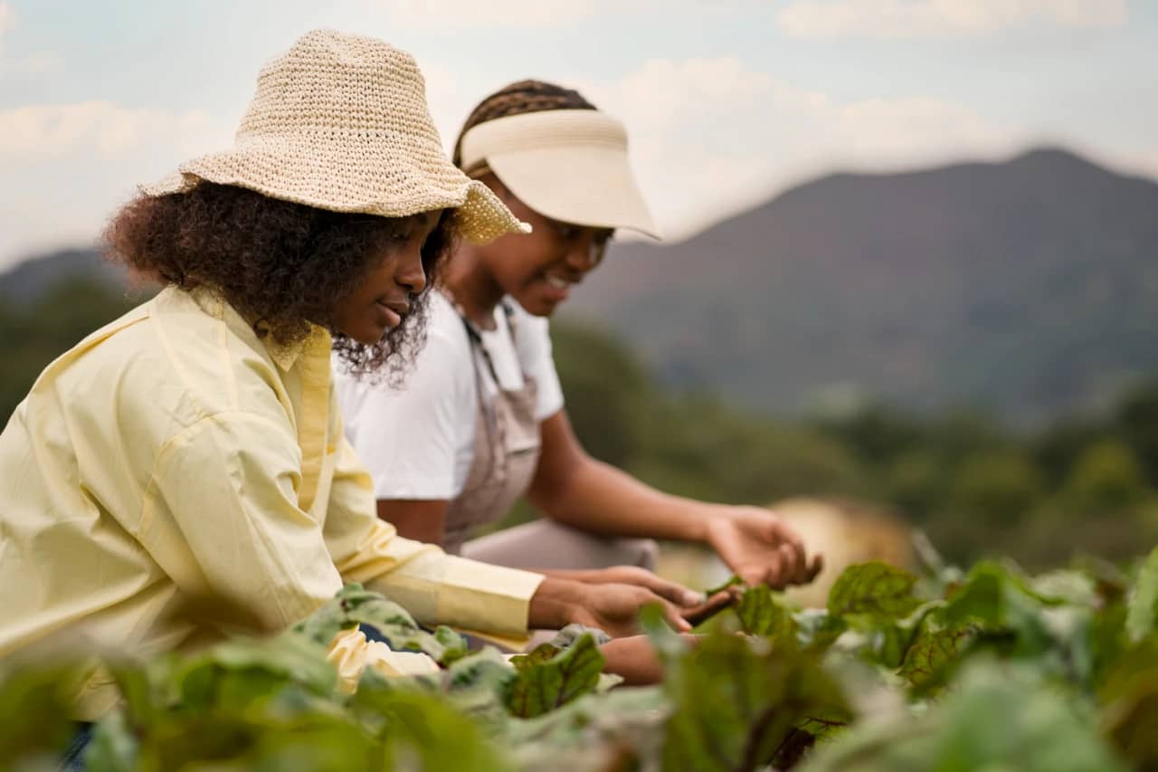 Os desafios da tecnologia na agricultura familiar