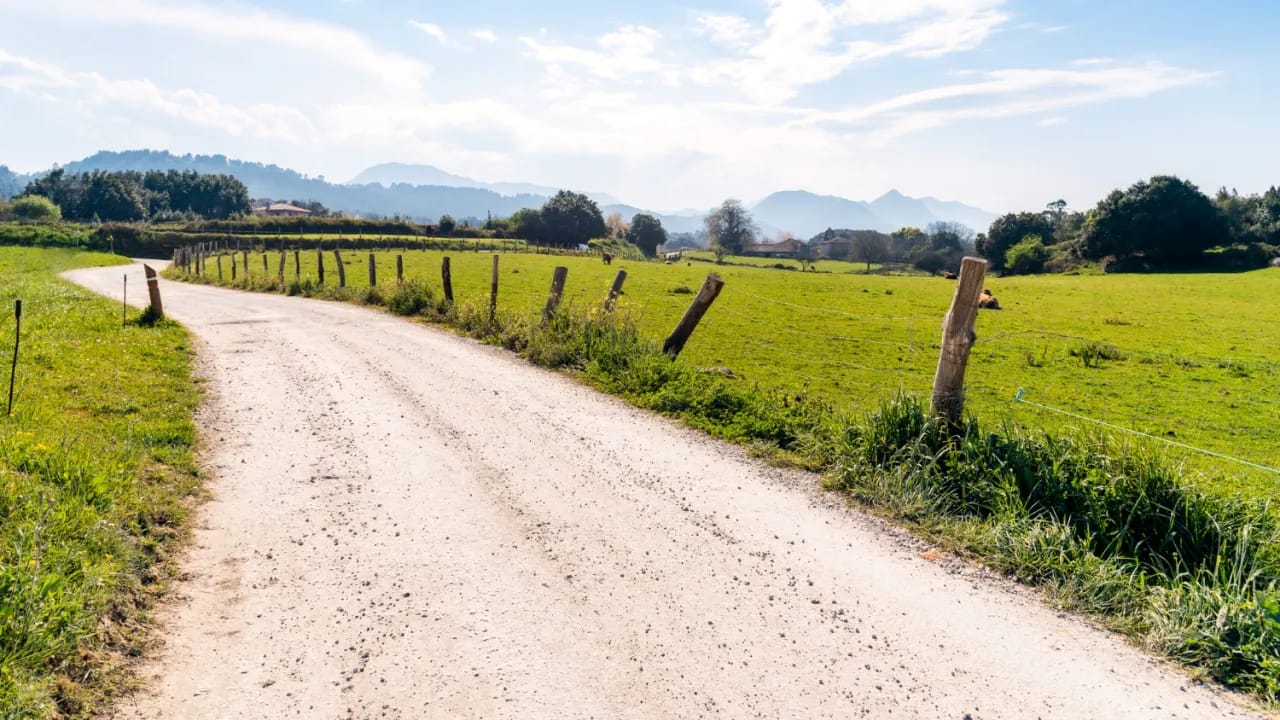 Qual a diferença entre roça, chácara, sítio e fazenda