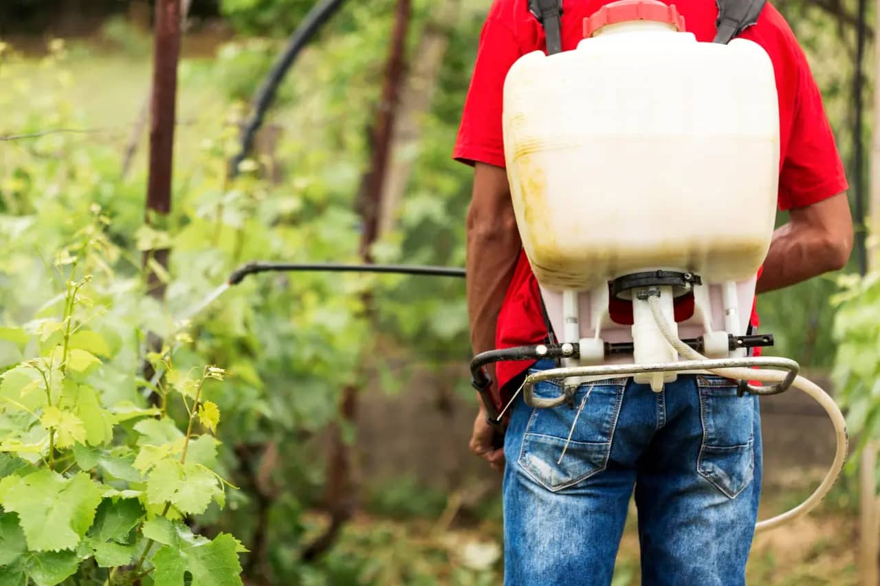 Prevenção de Doenças e Pragas na Agricultura: